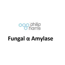 Fungal Alpha Amylase (High Activity) - 50g